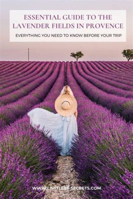  Walking In Provence: A Novel –  A Tapestry of Sensory Delight Woven Through the Lavender Fields